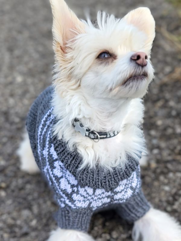 Knitting pattern NORDIC WOOF
