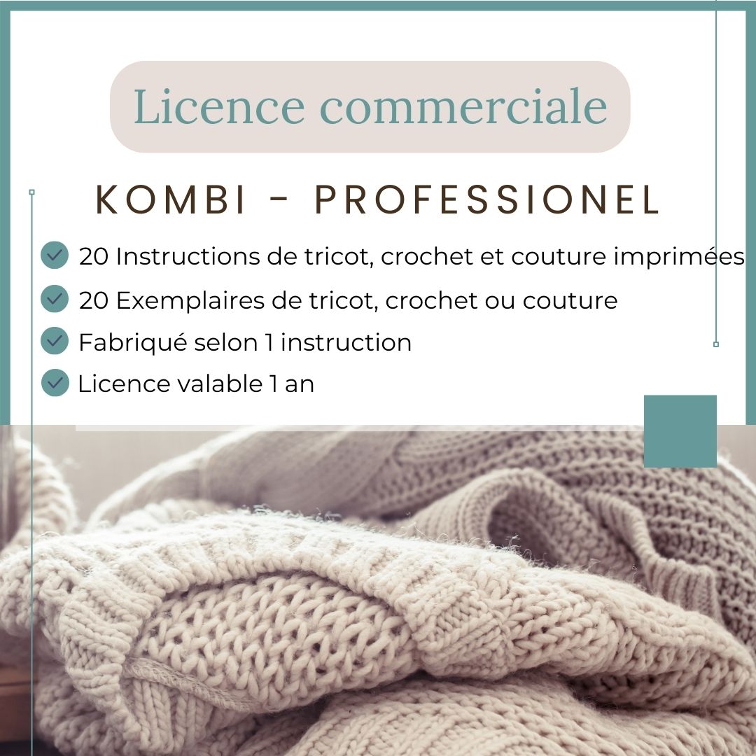 Business licence KOMBI professional